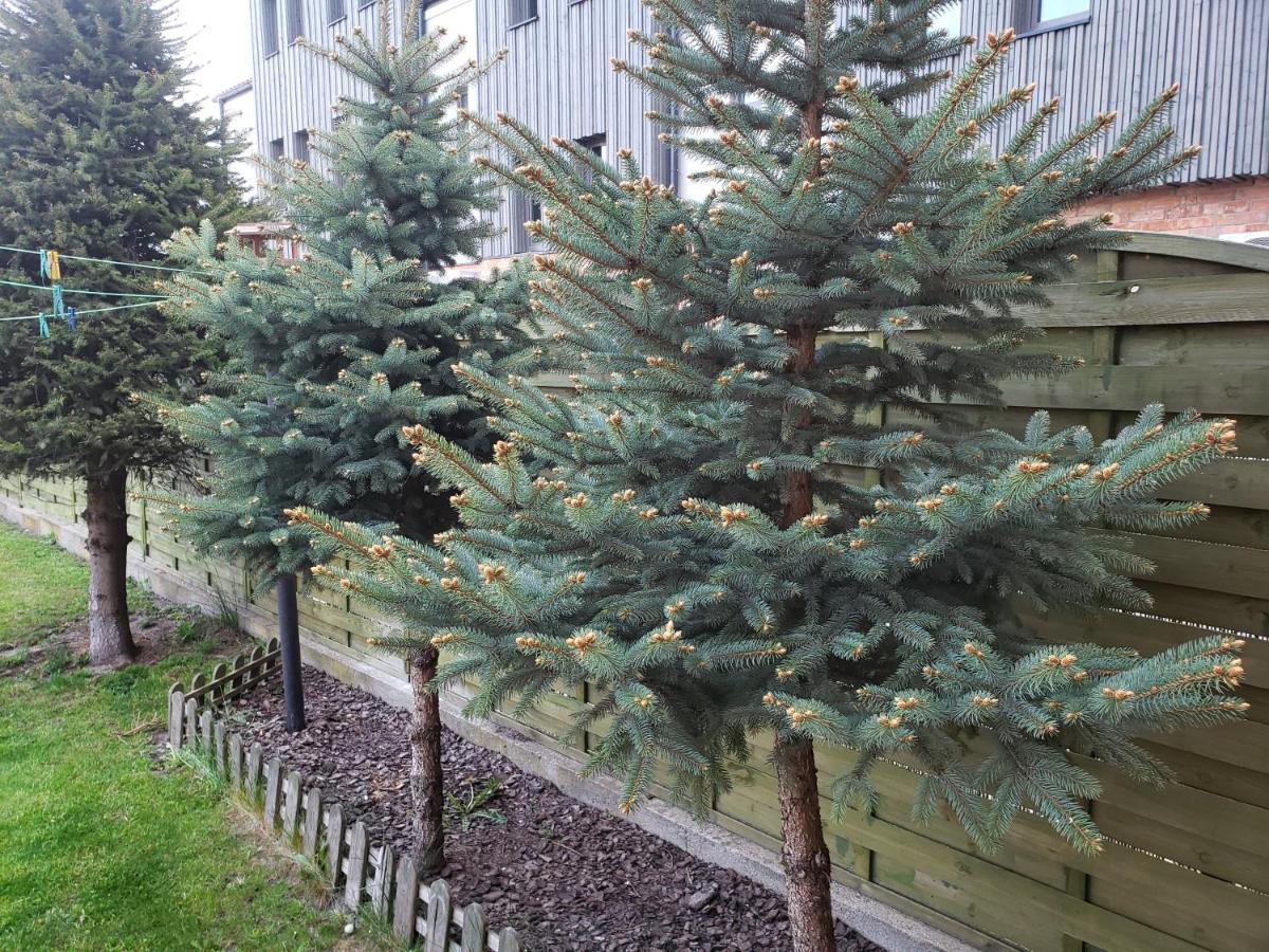 Apartament Aga13 Mikołajki Kültér fotó